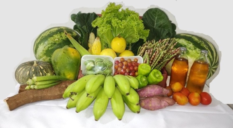 Oeiras receberá R$ 480 mil para Programa de Aquisição de Alimentos - Imagem 1