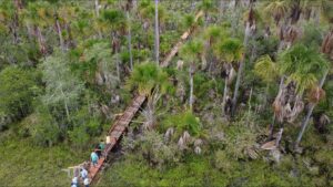 Prefeitura de Uruçuí Prioriza Desenvolvimento com Pavimentação Asfáltica na - Imagem 5