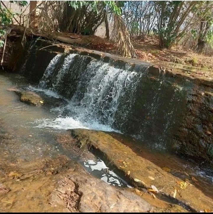 As belezas naturais de Monsenhor Gil, destaque para Varjota  - Imagem 1