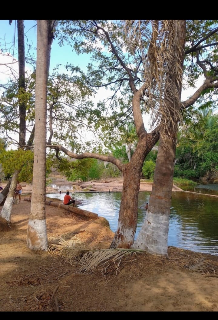 As belezas naturais de Monsenhor Gil, destaque para Varjota  - Imagem 3