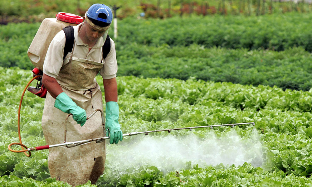Manejo de Pragas: Conhecimento e Prática para Fortalecer a Produção Rural