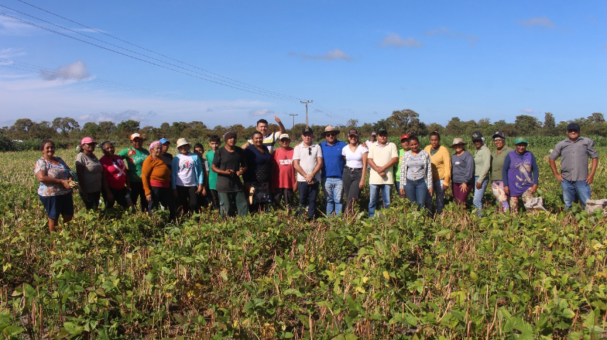 Apoio da Prefeitura Municipal fortalece Agricultura Familiar em Uruçuí