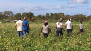 Apoio da Prefeitura Municipal fortalece Agricultura Familiar em Uruçuí - Imagem 6