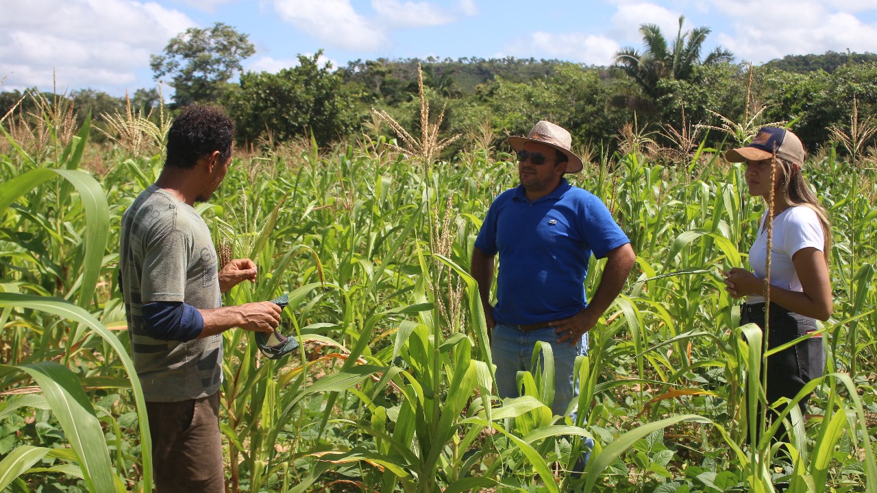 Apoio da Prefeitura Municipal fortalece Agricultura Familiar em Uruçuí - Imagem 5