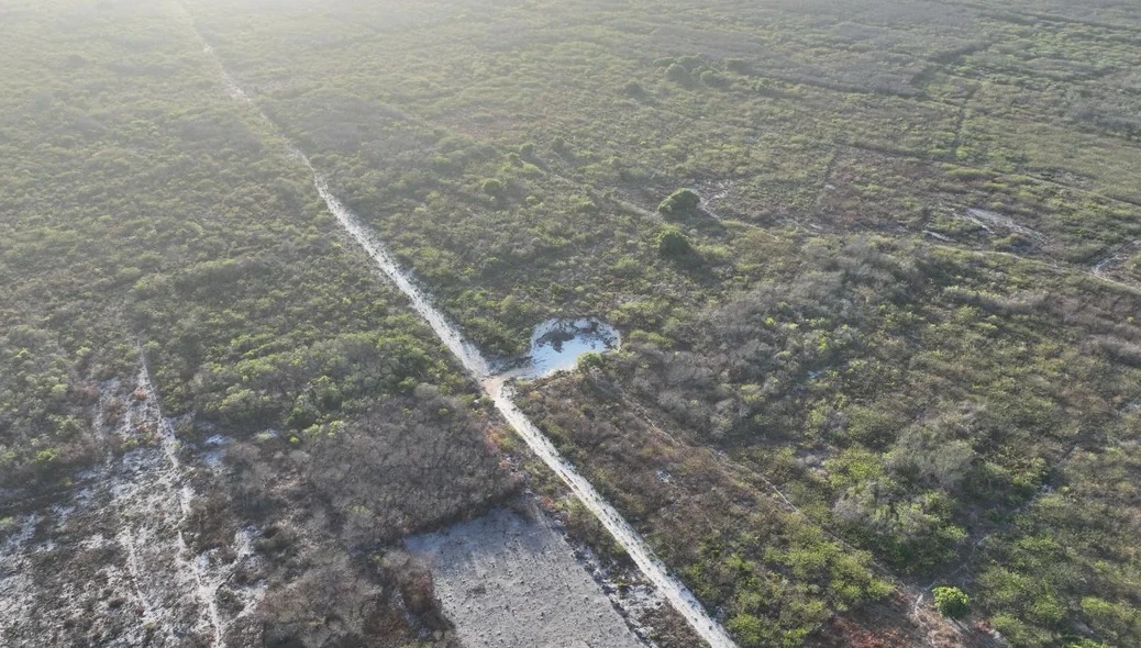 Terras no Litoral do Piauí&nbsp; &nbsp; &nbsp; &nbsp; &nbsp; Foto: Divulgação/ Polícia Federal