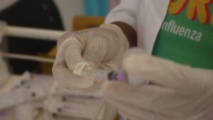 Sucesso no Dia D de Vacinação contra a Gripe 2024 - Imagem 1