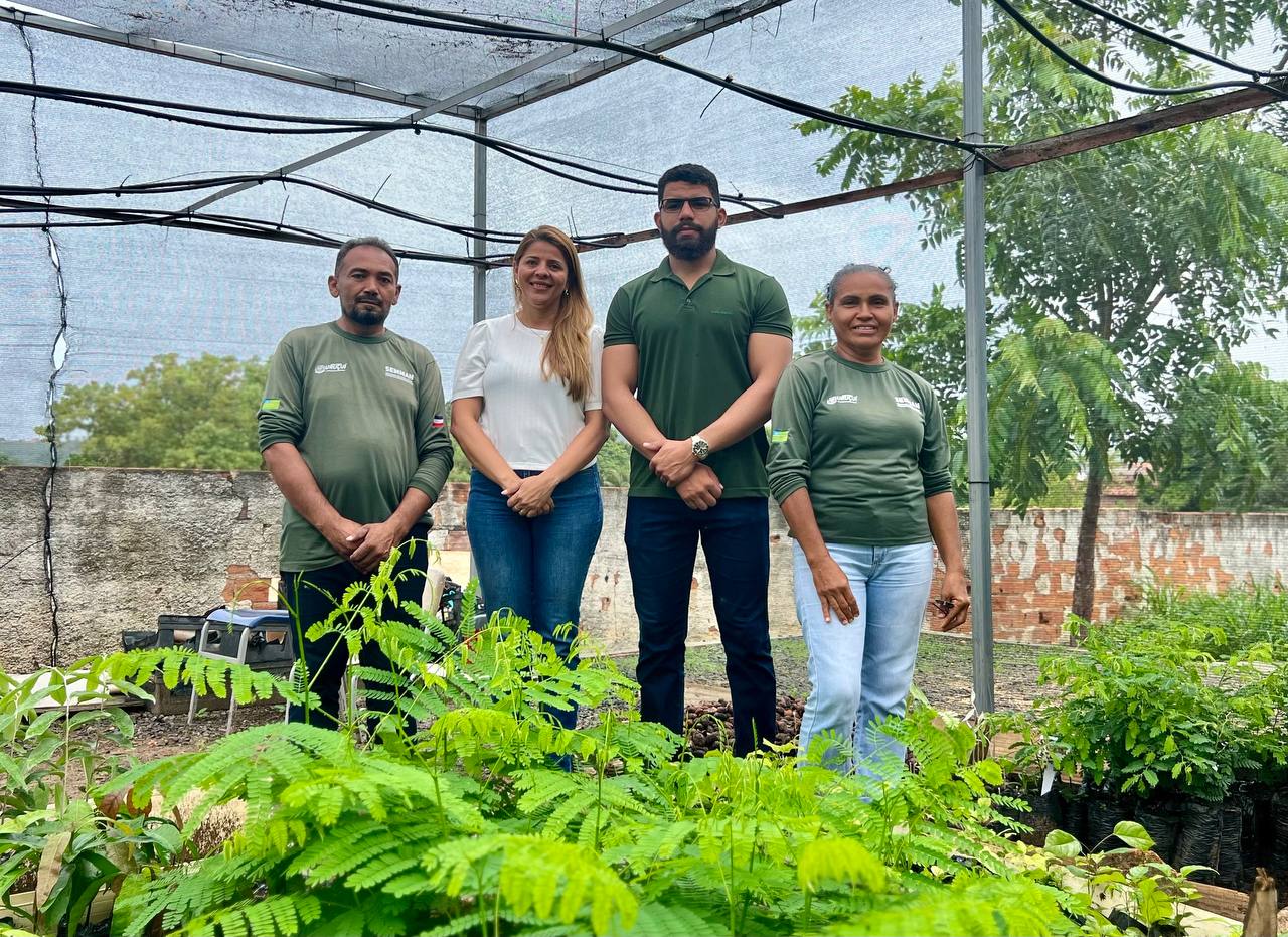 Prefeitura de Uruçuí Distribuirá 10 Mil Mudas nos Festejos de São Sebastião