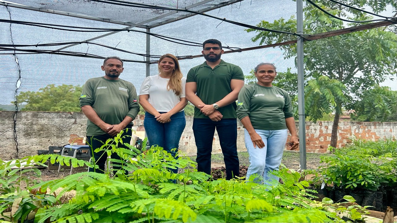 Prefeitura de Uruçuí Distribuirá 10 Mil Mudas nos Festejos de São Sebastião