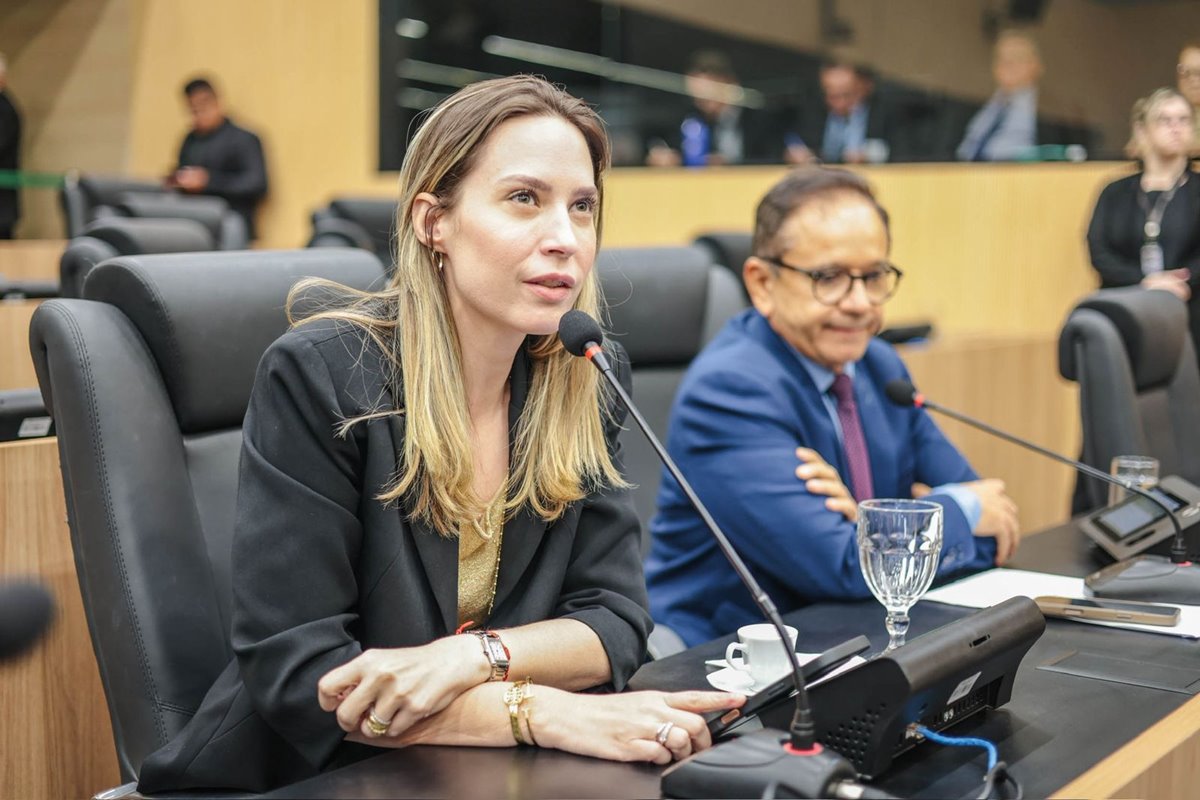 Piauí cria Cadastro Estadual de Condenados por Violência Contra a Mulher; Lei da deputada Vanessa Tapety é sancionada por Rafael Fonteles - Imagem 1