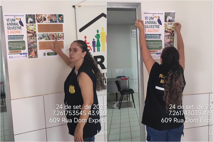 Prefeitura de Landri Sales realiza Campanha Educativa de Proteção a Fauna Silvestre - Imagem 1