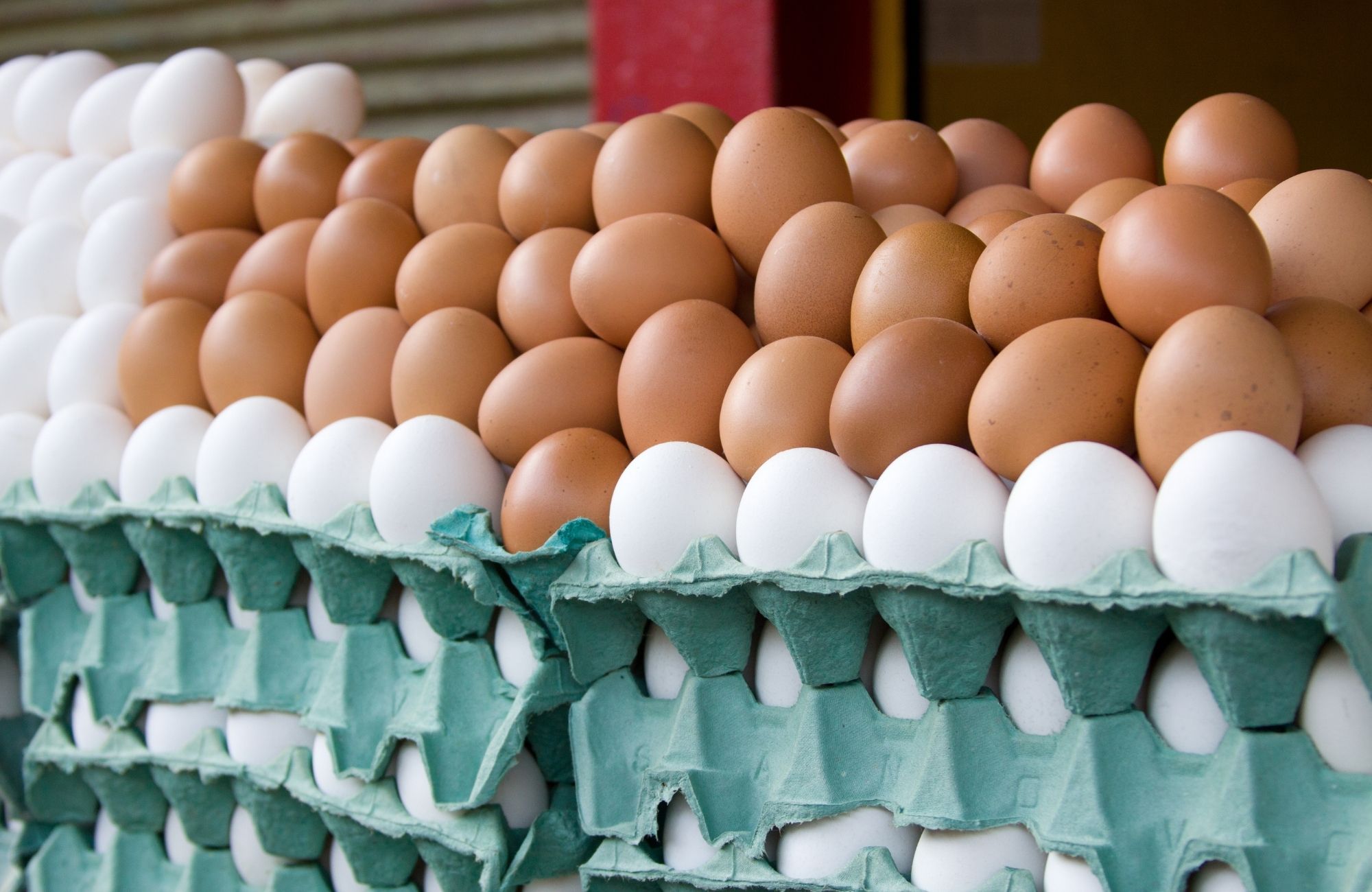 Brasil produz 305 ovos por habitante; quais as principais cidades produtoras - Imagem 2