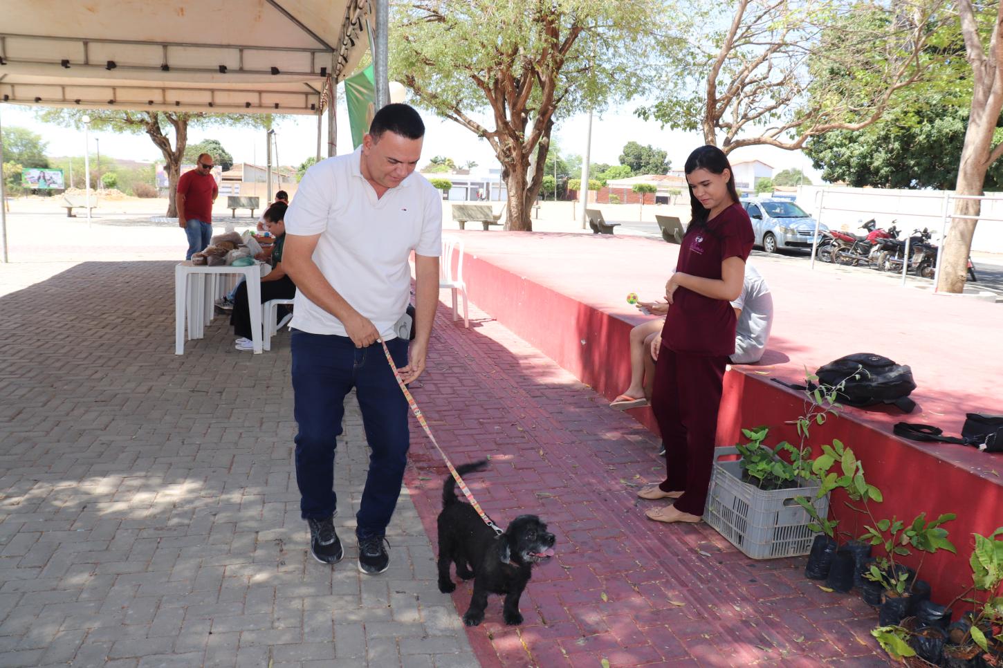 Prefeitura promove Ação “Meu Amigo Pet” em celebração ao Dia dos Animais - Imagem 3