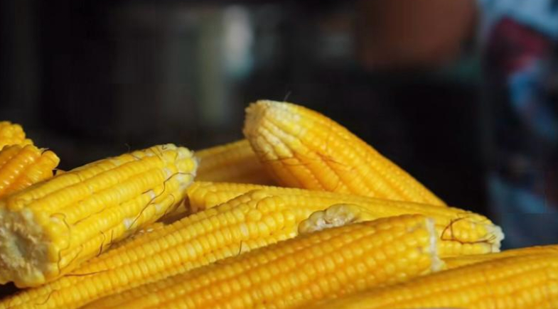 Alimentos da agricultura familiar compõem cardápio das escolas do município de Tanque do Piauí