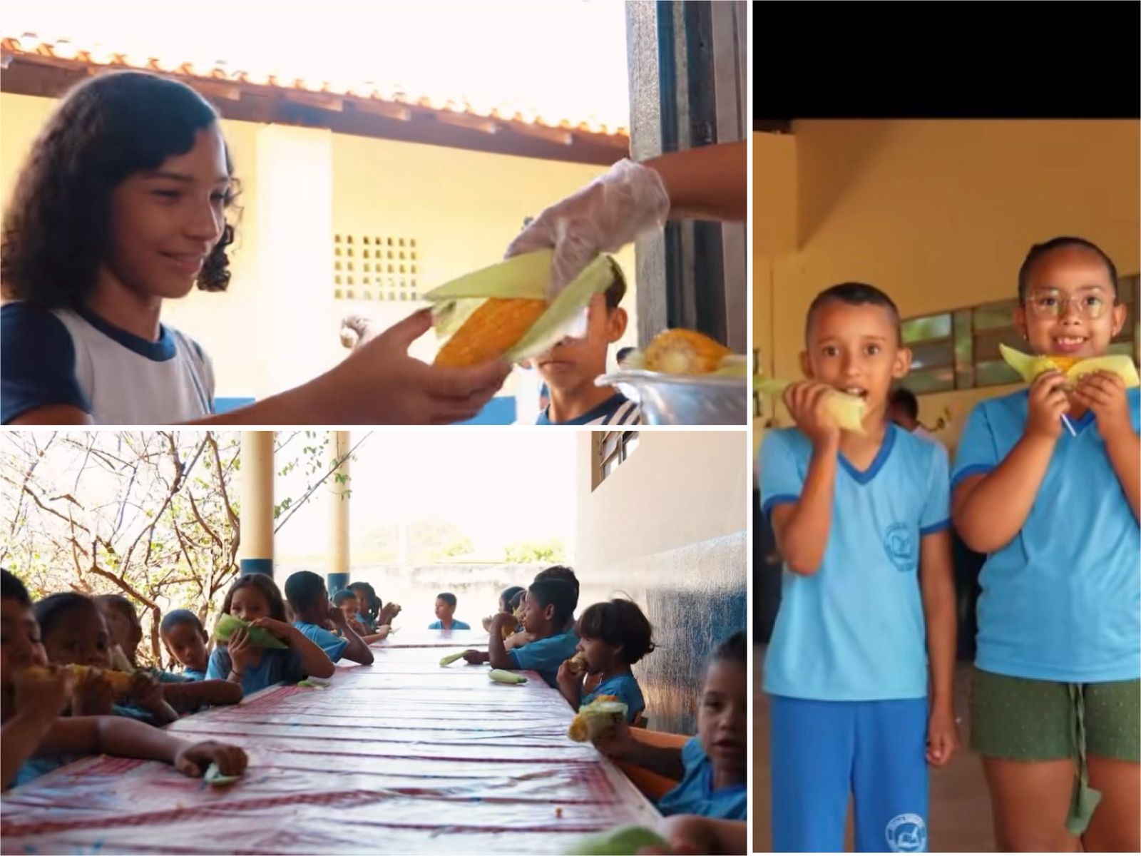 Alimentos de agricultura familiar nas escolas - Foto: Prefeitura de Tanque do Piauí