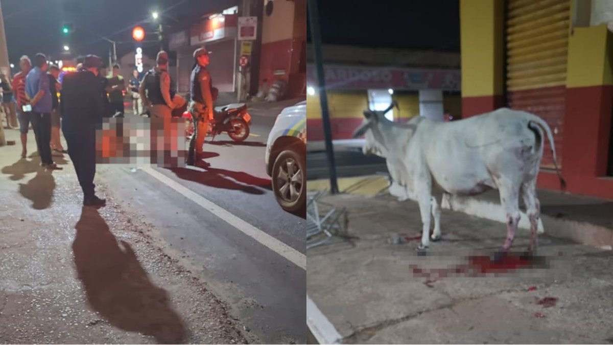  Jogador morreu após colidir moto com vaca em Altos (Foto: Reprodução)