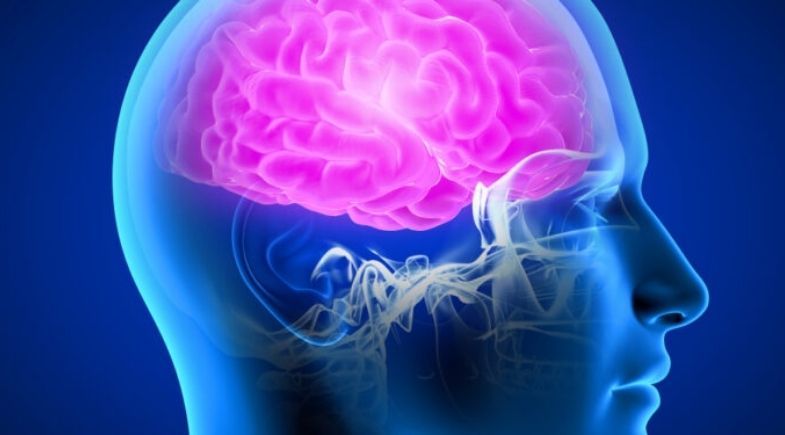 Aneurisma cerebral é uma das condições mais perigosas  | Reprodução