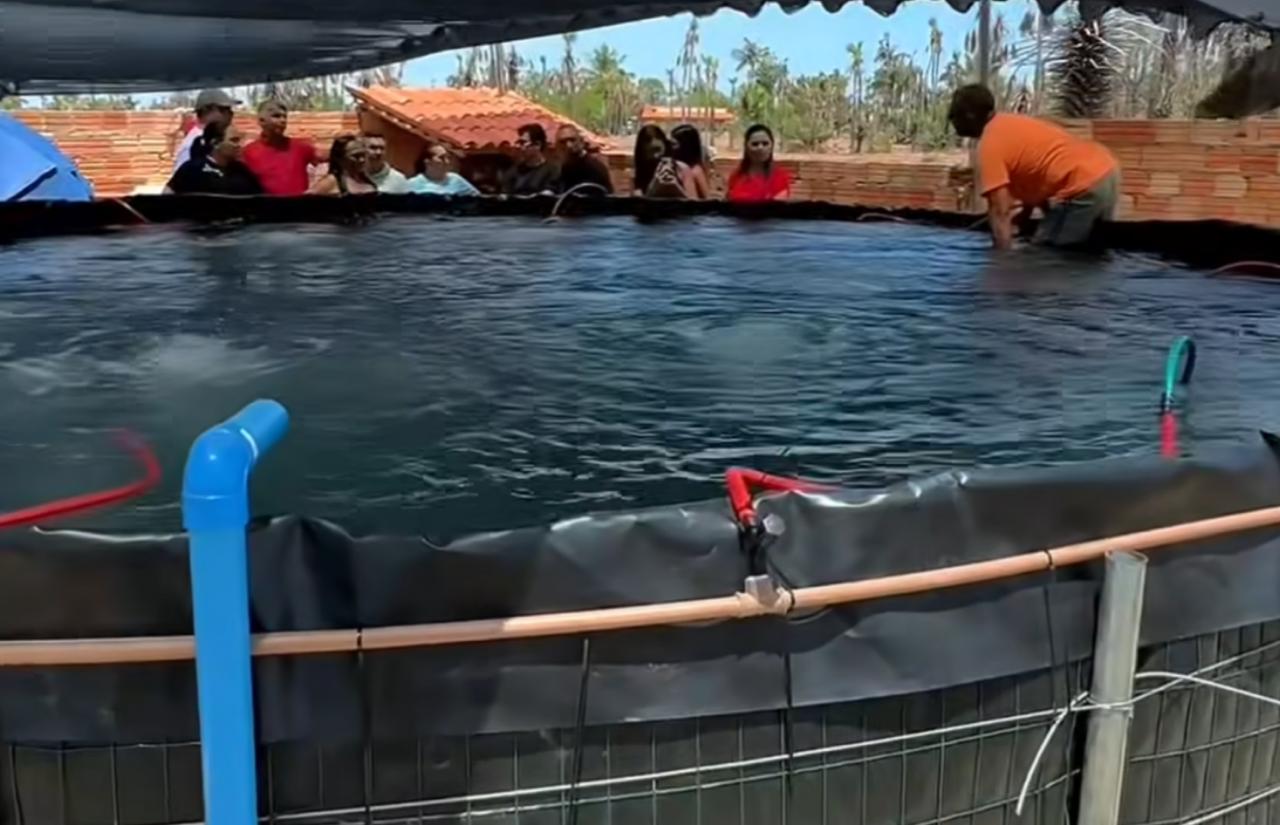 Prefeitura de Nossa Senhora de Nazaré lança projeto de criação de tilápias em escola da zona rural - Imagem 1