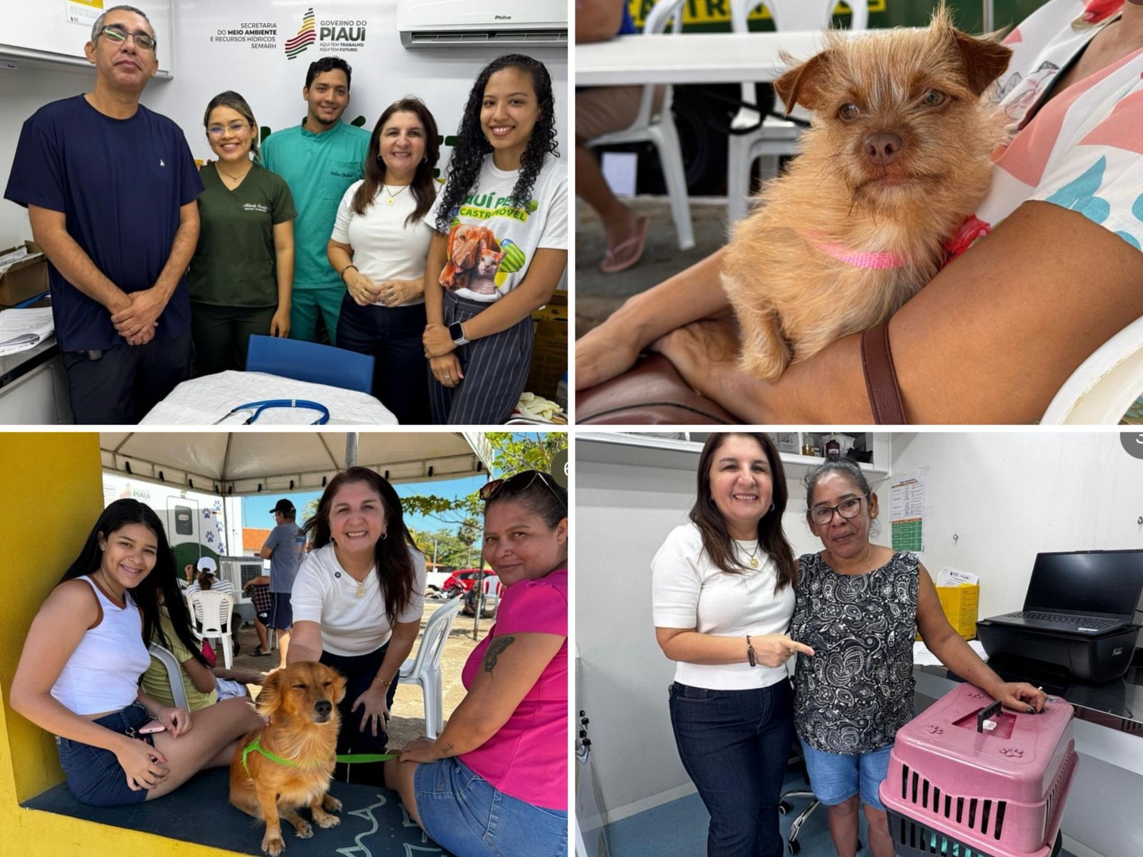 Serviços do Castramóvel - Foto: Prefeitura de Luís Correia