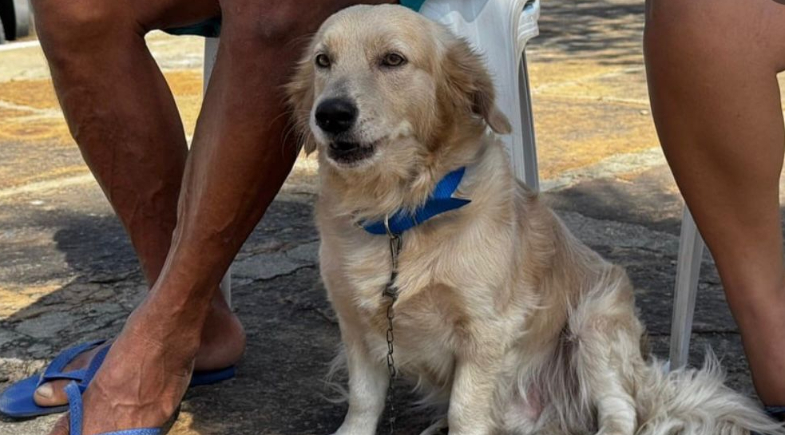 Município de Luís Correia recebe os serviços em saúde do Castramóvel