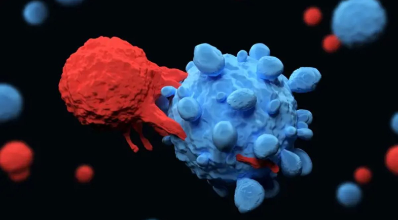 Células de defesa e células cancerígenas | Reprodução/Getty Images