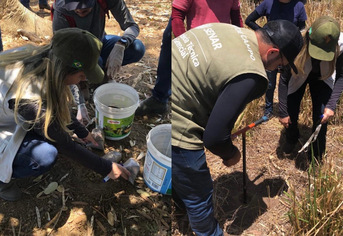 Aula prática de campo - Foto: Prefeitura de Caraúbas do Piauí