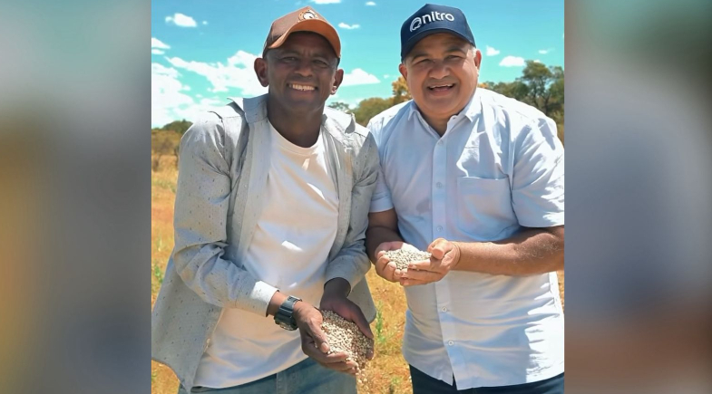 Produtores de Bom Jesus realizam a maior colheita de feijão dos últimos 10 anos