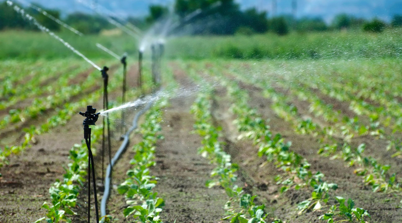 Prefeitura de Assunção do Piauí realiza entrega de kits de irrigação para horticultores do município