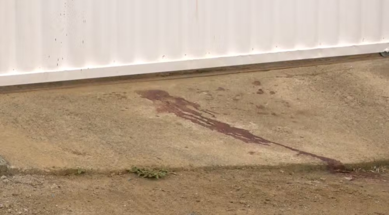 Rayana Bittencourt Rios ainda pediu ajuda no ES | FOTO: TV Gazeta