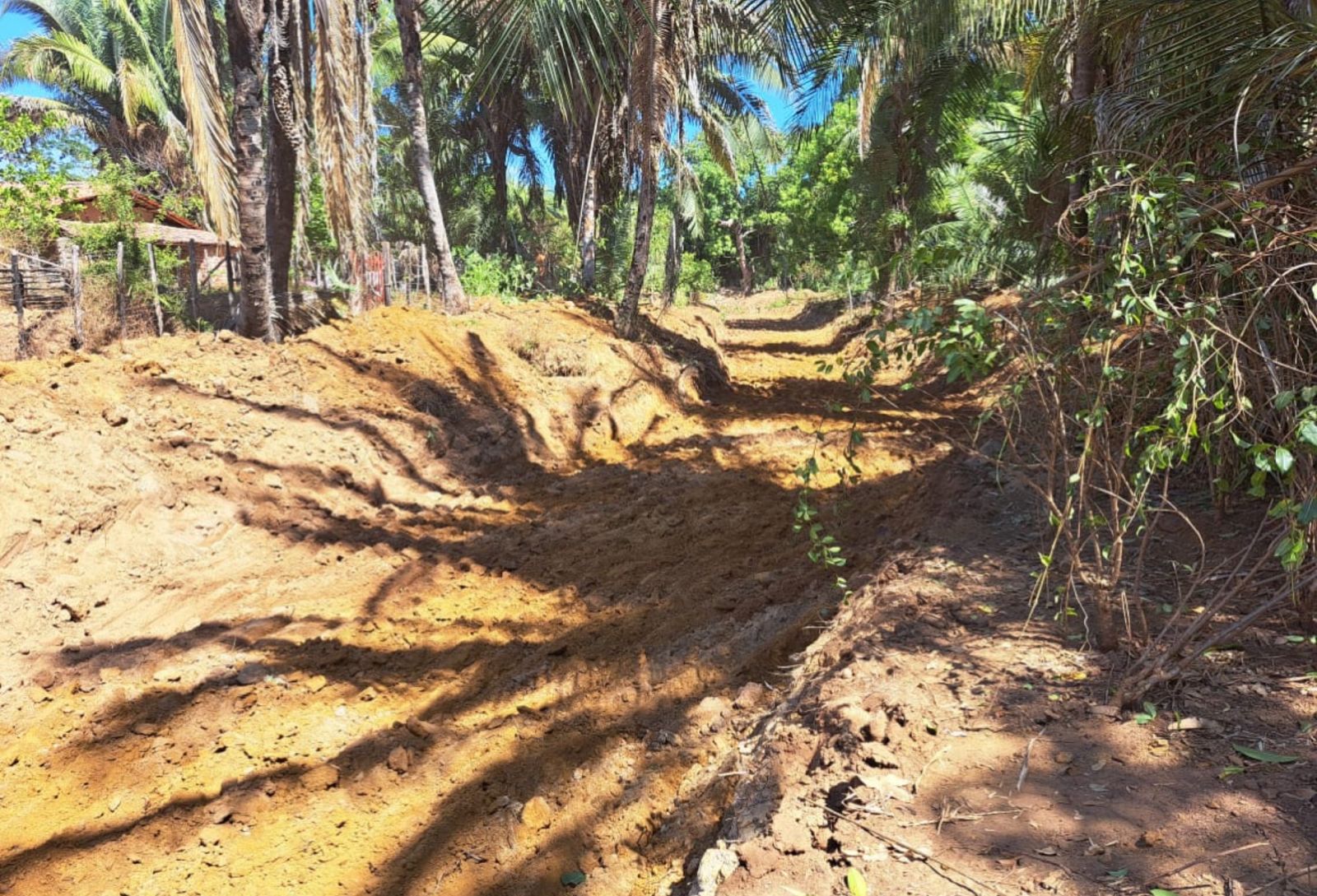 Prefeitura de São João do Arraial inicia revitalização de riacho na localidade São José dos Órfãos - Imagem 1