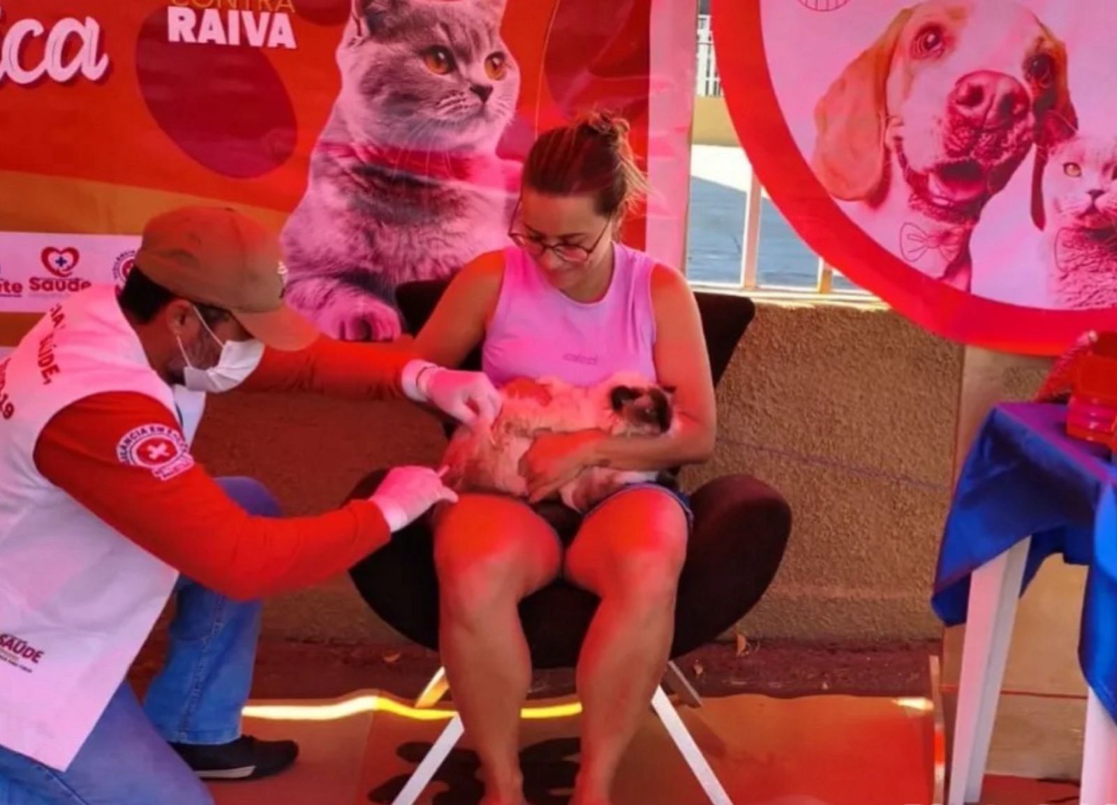 Prefeitura de Alegrete realiza Dia D da vacinação antirrábica para cães e gatos - Imagem 1