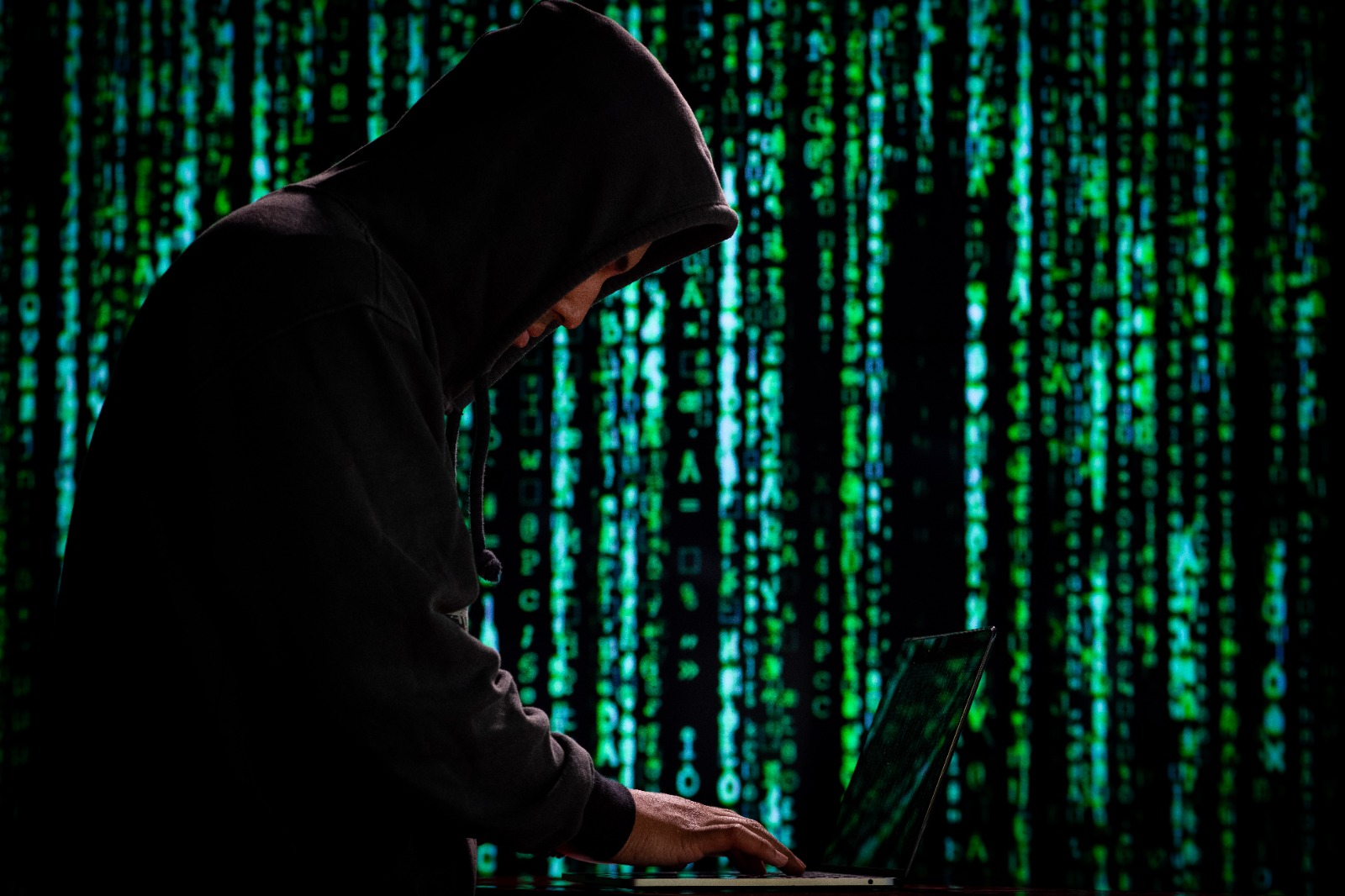 Hacker “diparis” impressiona ao expor falhas críticas em larga escala