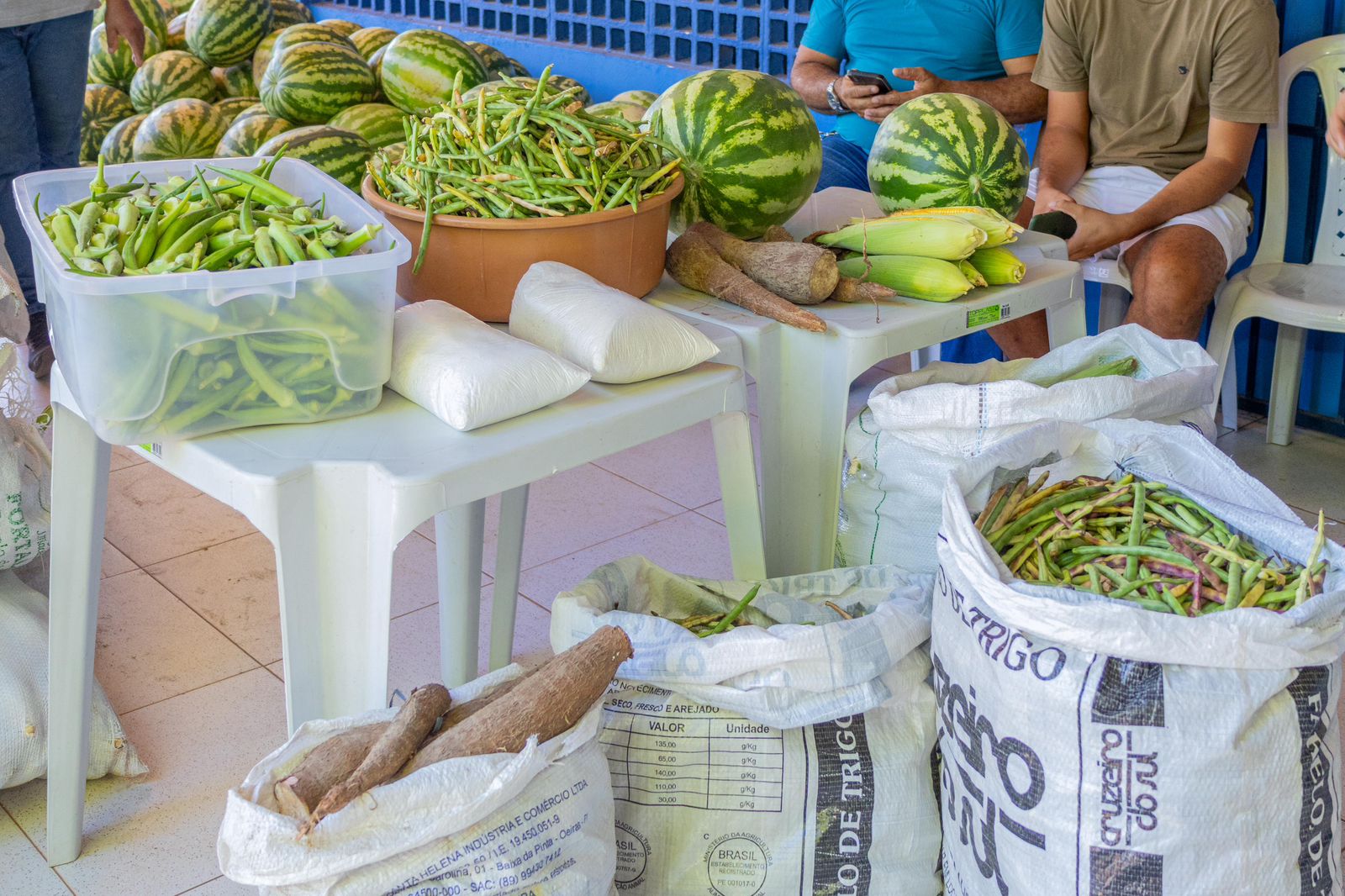 Alimentos recebidos da agricultura familiar - Foto: Prefeitura de José de Freitas