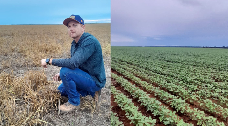Mato Grosso: O gigante do agronegócio vira exemplo mundial em sustentabilidade 