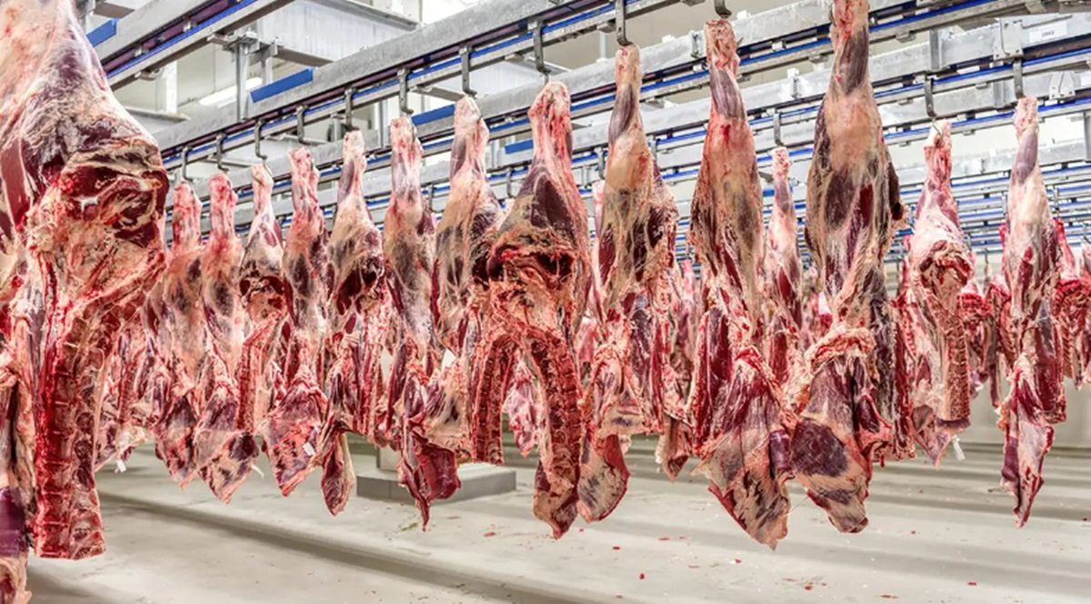 China impulsionou exportações de carne de MS (Foto: Reprodução)