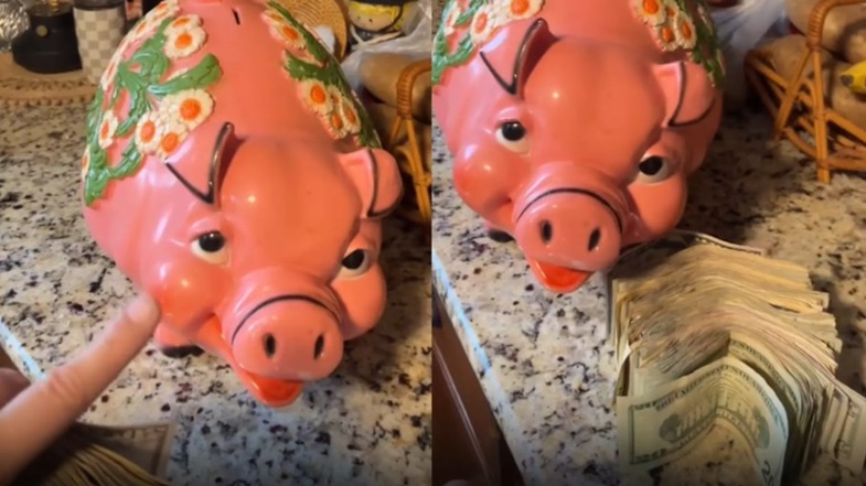 Mulher compra cofrinho por R$ 60 em brechó e encontra quase R$ 11 mil dentro