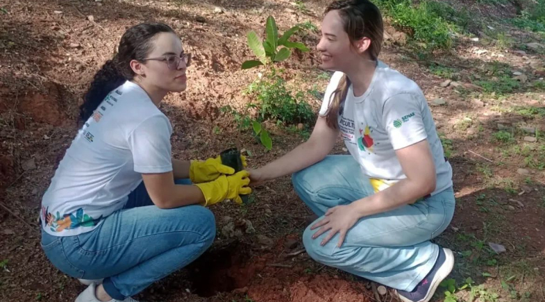 Prefeitura de São João do Piauí realiza Mutirão de Limpeza e Plantio às margens do Balneário Jenipapo