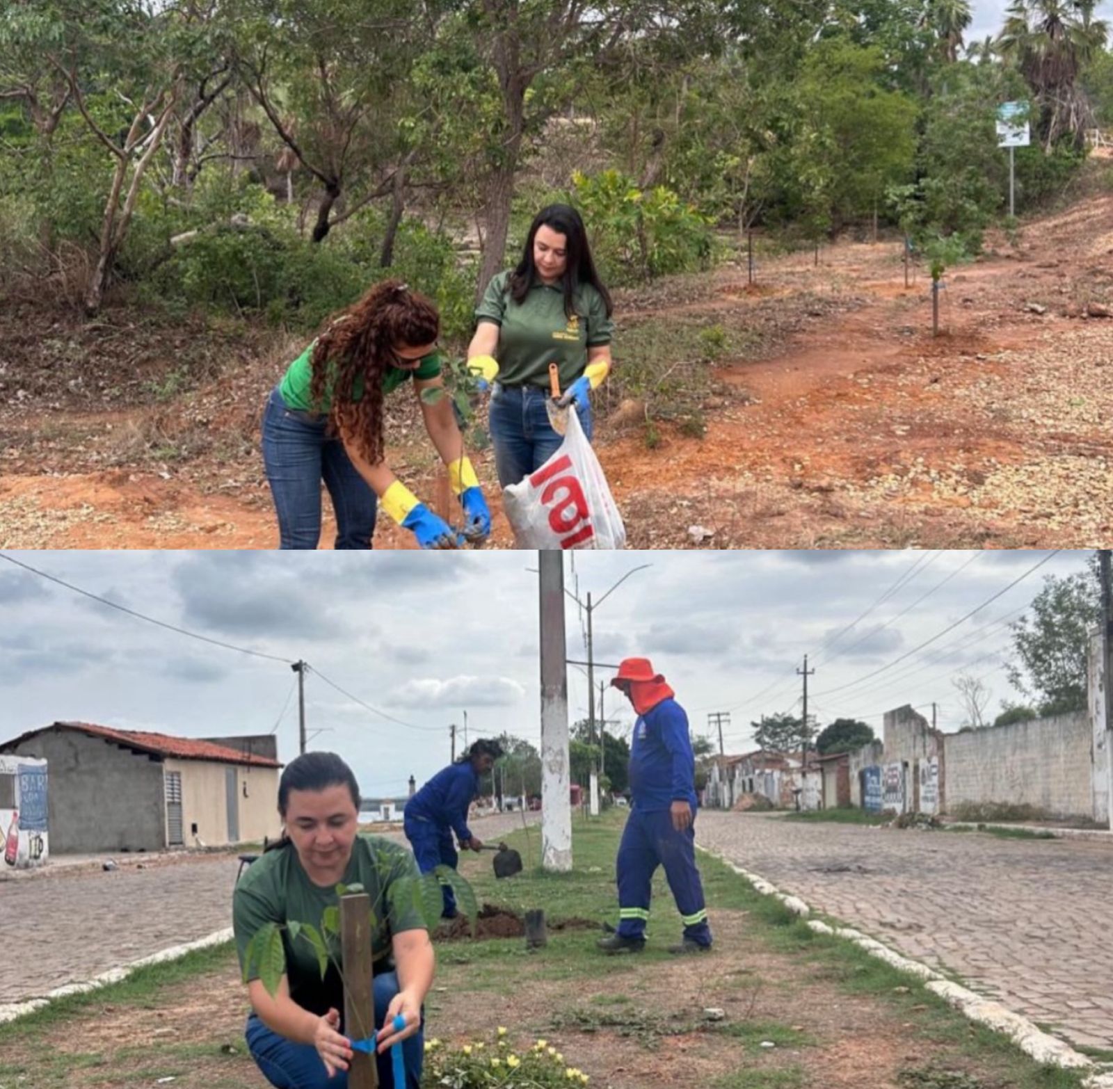 Prefeitura de Floriano realiza ações ambientais no município - Imagem 1