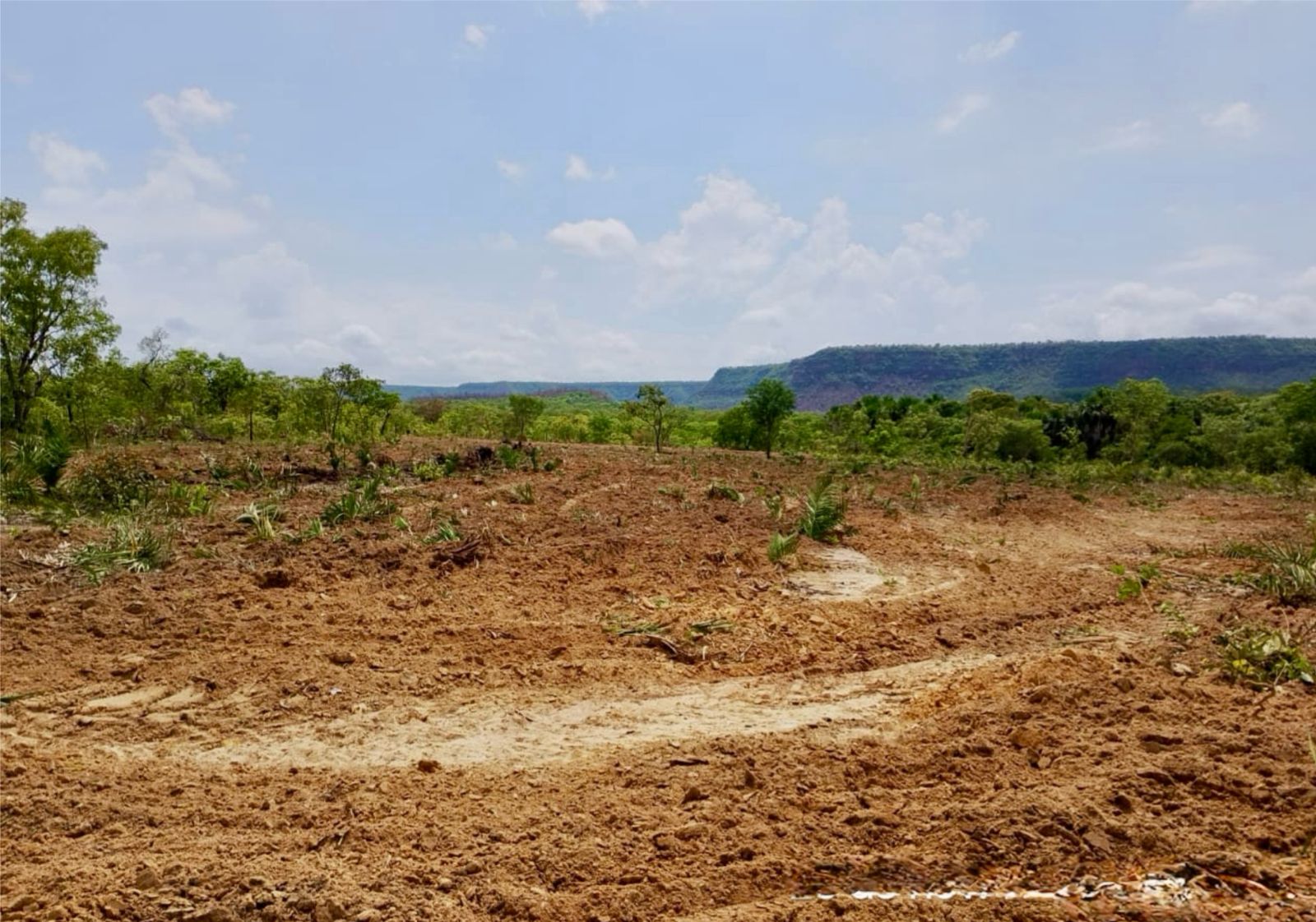 Prefeitura de Ribeiro Gonçalves fortalece a produção rural com Programa Terra Pronta - Imagem 1