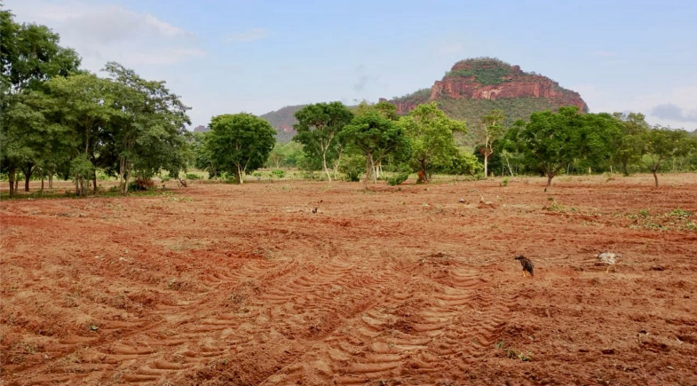 Prefeitura de Ribeiro Gonçalves fortalece a produção rural com Programa Terra Pronta