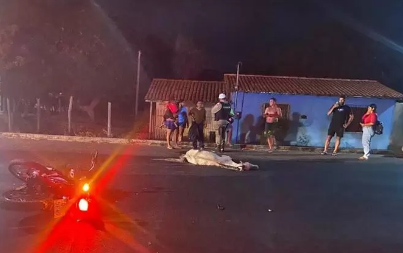 Cavalo em pista causou acidente que matou mulher em Parnaíba | Foto: Tribuna de Parnaíba