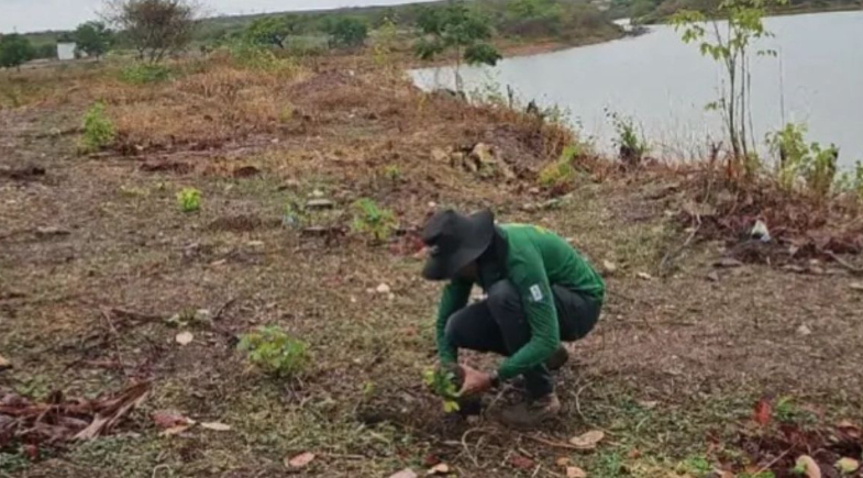 Prefeitura de Pimenteiras realiza ação de plantio de mudas nativas no município 