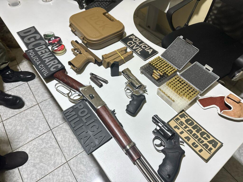 Apreensões do DENARC | FOTO: SSP