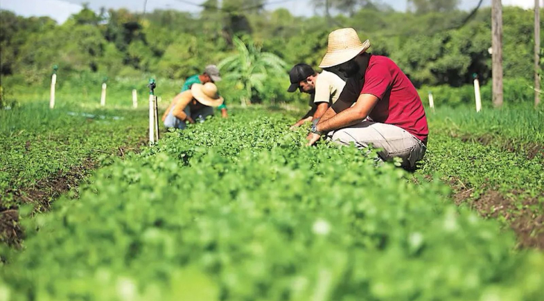 Prefeitura de Landri Sales inicia retirada dos boletos do Garantia Safra 2025/2026
