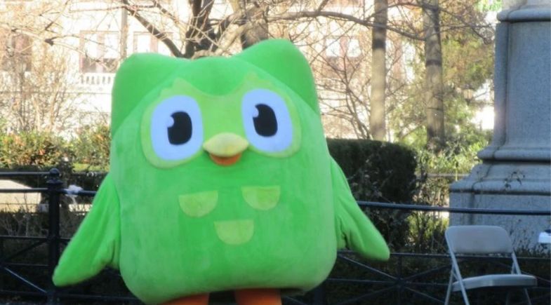 Duolingo realmente funciona ou é só história? Veja quanto você aprende, segundo a ciência 