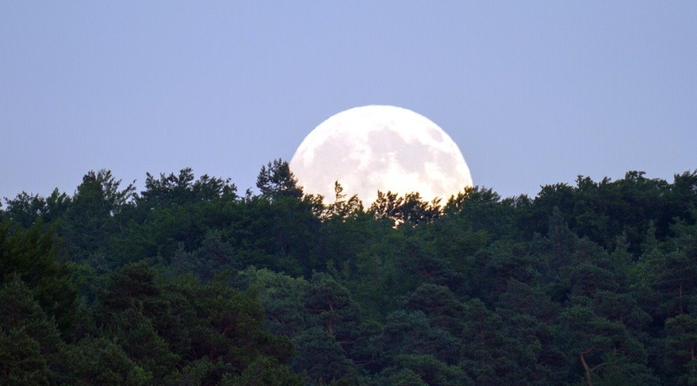 Última superlua de 2025 atinge ápice hoje; veja melhor horário para apreciar