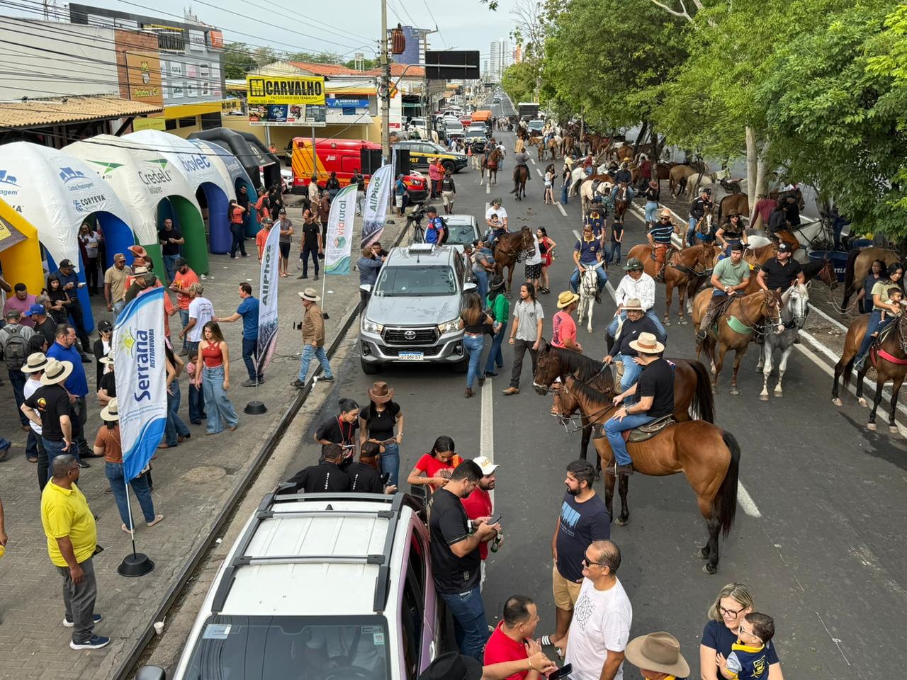 Foto: Apoliana Oliveira/Meio News
