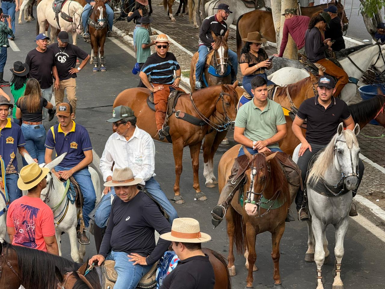 Foto: Apoliana Oliveira/Meio News