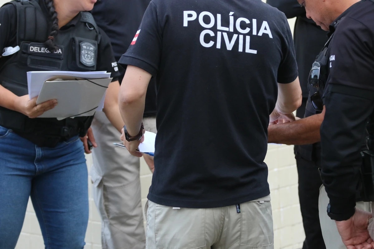 Polícia Civil (Foto: Reprodução/ Polícia Civil)