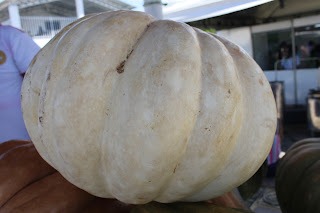 Sucesso total 4º Feira Agro Campo em São João da Serra - Imagem 104