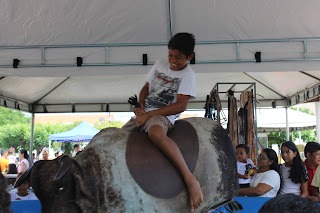 Sucesso total 4º Feira Agro Campo em São João da Serra - Imagem 6